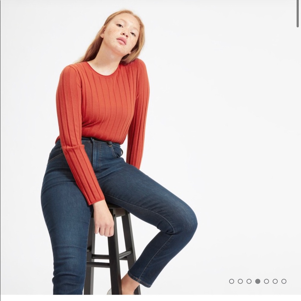 Everlane Authentic stretch High Rise Skinny Jean